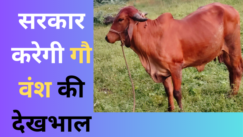 मुख्यमंत्री गौ ग्रास सेवा योजना