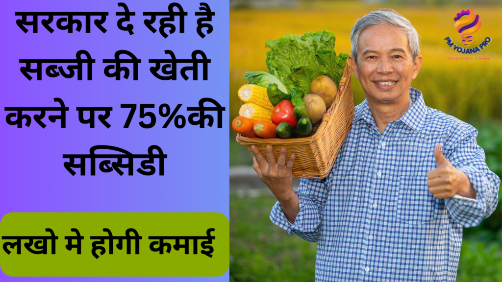बिहार सब्जी विकास योजना
